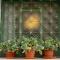 Two Bedroom Garden Cottage in Quiet Street