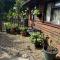 Woodpaddock Bed & Breakfast