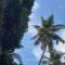 Le Meridien BnB & Travels