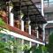Estreya Residence Hotel and SPA - 圣君士坦丁和海伦那