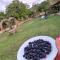VILA DISHA