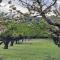 Belvilla by OYO Cobert de lEra