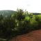 Deifeld Garden Terrace Stay