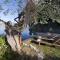 ISEO CHARME VILLAS