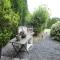 Luxury Wellness Villa, Septon