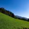 Apartment in Hollersbach near Ski Slopes