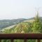 Holiday Home in Limoges with Saltwater Pool