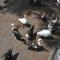 Gypsy Caravan in Weideblick with Farm Animals