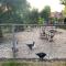 Gypsy Caravan in Weideblick with Farm Animals