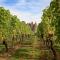 Cahors Countryside Retreat