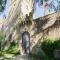 Lovely estate not far from Florence with olives trees