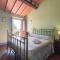 Lovely estate not far from Florence with olives trees
