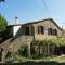 Lovely estate not far from Florence with olives trees