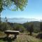 Lovely estate not far from Florence with olives trees
