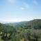Lovely estate not far from Florence with olives trees