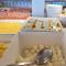 Hotel Delle Nazioni - Adults Only