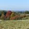 Nostalgic apartment in the Eifel region