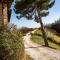 Flat on a farm with swimming pool and many activities