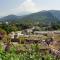Charming holiday flat with shared pool, Malaucène