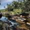 IRON BRIDGE COVE