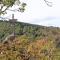 Familienspaß & Waldwege in Ilsenburg