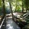 Familienspaß & Waldwege in Ilsenburg