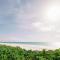 Pink Sands Resort