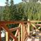 Aparthotel Pine Hills Pamporovo Foto: Aparthotel Pine Hills Pamporovo