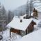 Chalet in Vallandry near Paradiski Ski Area