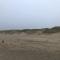 Chic Beachside Stay w Sauna