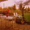 Cottage in Vaires-sur-Marne near Forest & Lake