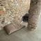 Spacious chalet in Jalhay with jacuzzi