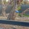 Just For 2 - A Fantastic Apartment - Perfect Coffin Bay Base For One or Two Guests