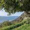 Seaview Studio in beautiful setting, west from Chania
