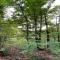 Modern Farmhouse in Pagnano Italy near Forest