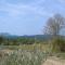 Holiday House Aups near Lac Sainte Croix