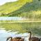 Glamping BoraGlamp - Boračko jezero