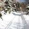 Entspannender Skiurlaub in Braunlage