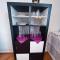 Apartamento lausanne 2