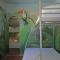 Villa in Salernes with Private Pool & Garden