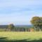 Wellness Escape in Bellevaux