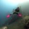 Dhita Bila Bungalows & Dive