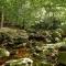 Jalhay Pondside Forest Home