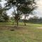 Ishasha Pride Lodge