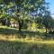 4 person holiday home in VEBERÖD-By Traum