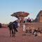Desert Knights camp
