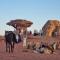 Desert Knights camp