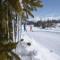 Chalet in Wiler near Ski Lift & Views
