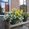 Fantastic luxury vacation home and next to the Wadden Sea