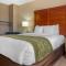 Comfort Inn Albuquerque Airport